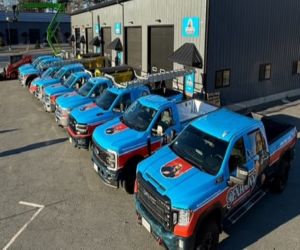 2020 popular car wrap models