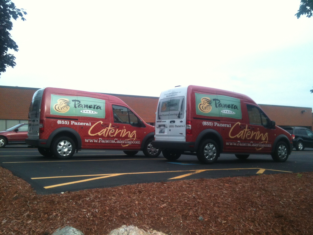 Fleet vehicle wrap design for business branding in Boston